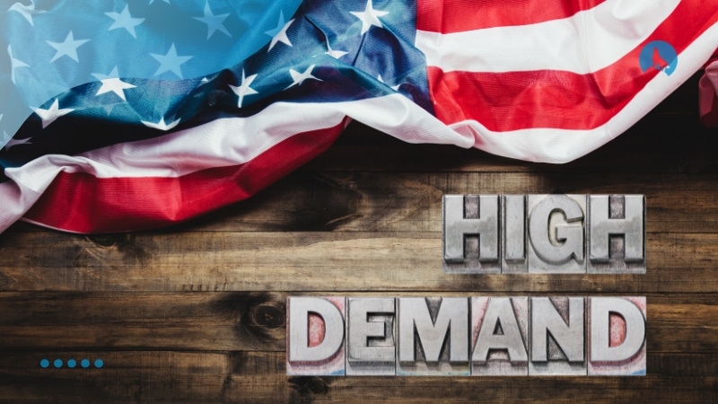 High-Demand Sectors in the U.S. Job Market High-Demand Sectors in the U.S. Job Market
