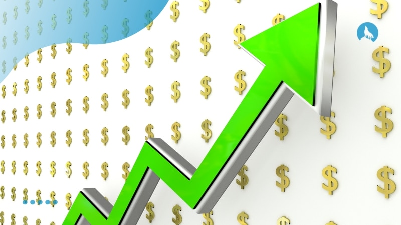 The Rise of Sustainable Investments